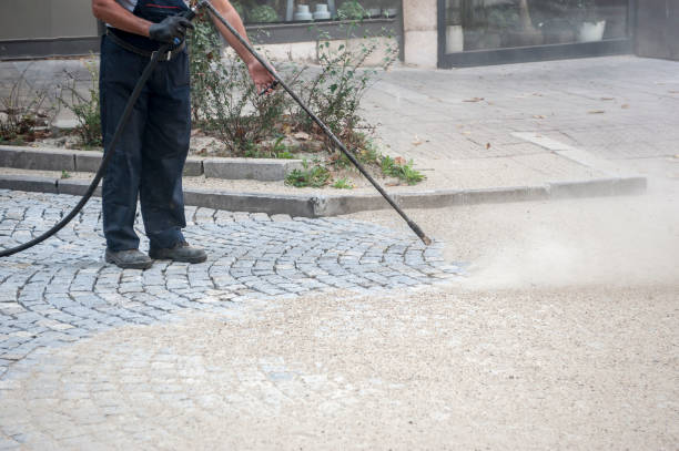 Best Dumpster Area Cleaning  in North Hornell, NY